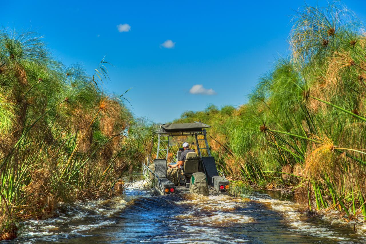 Thamalakane River Lodge マウン エクステリア 写真